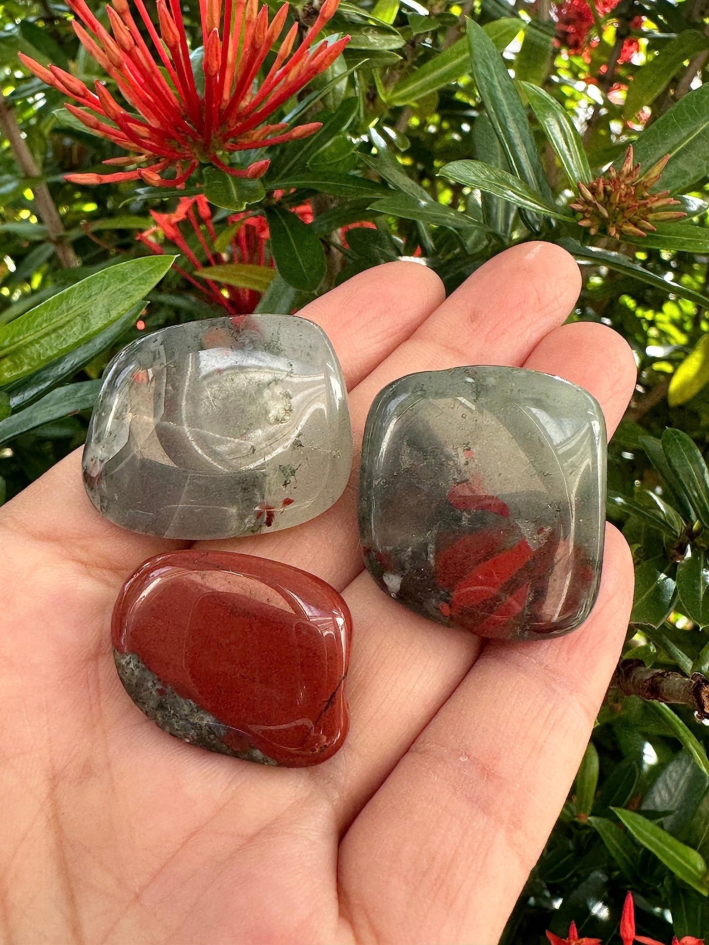African Bloodstone Gemstone
